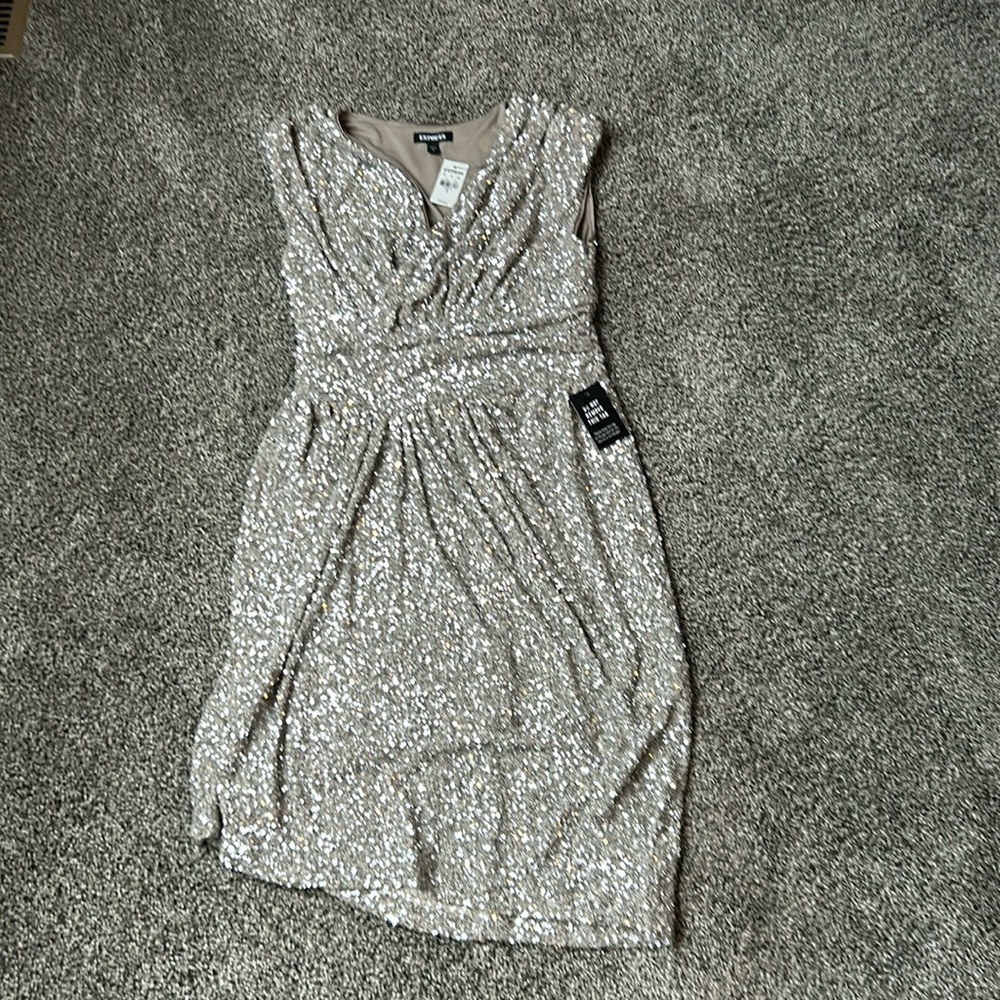 Express Sequin Cocktail Dress in Champagne
